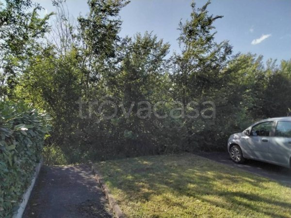 terreno agricolo in vendita a Cadelbosco di Sopra in zona Cadelbosco di Sotto
