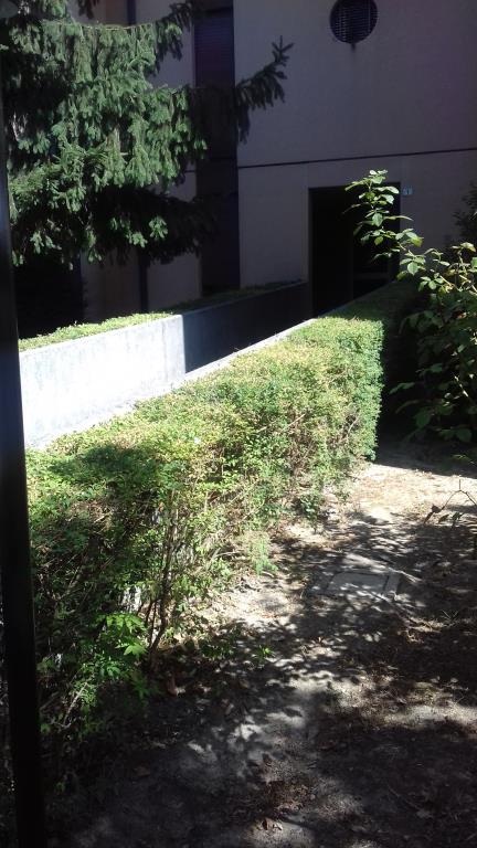 appartamento in vendita a Campagnola Emilia