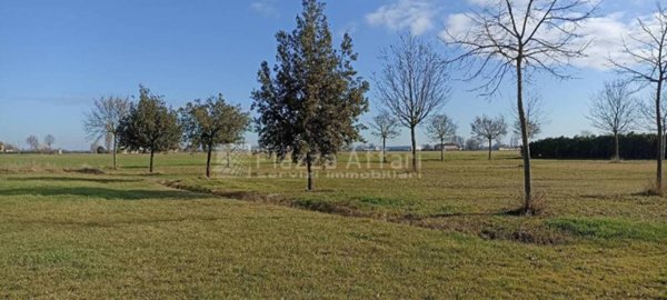terreno edificabile in vendita a Campegine