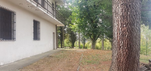 appartamento in vendita a Carpineti in zona Villa