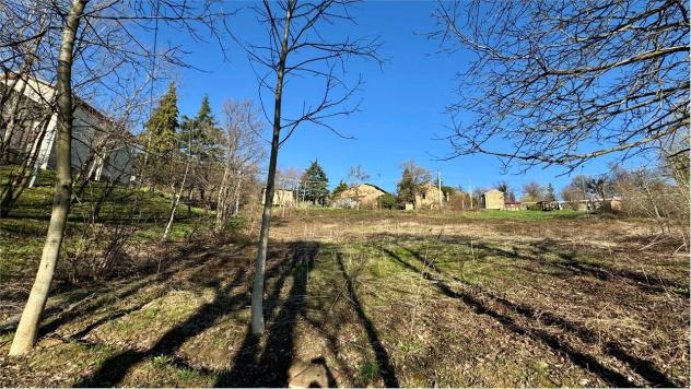 terreno agricolo in vendita a Carpineti in zona Cantigalli