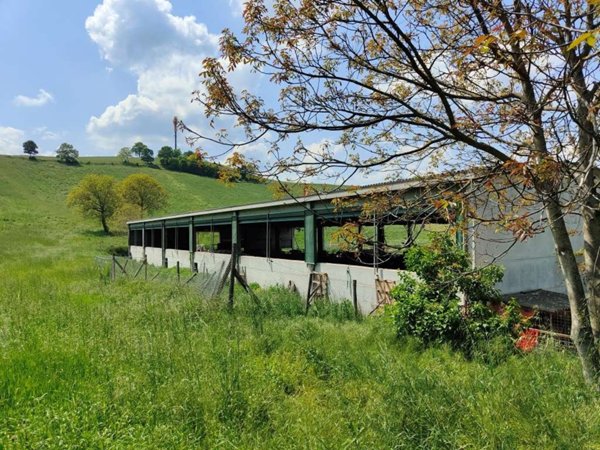 appartamento in vendita a Carpineti
