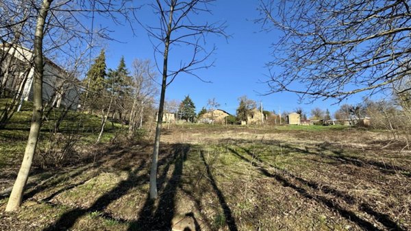 terreno edificabile in vendita a Carpineti