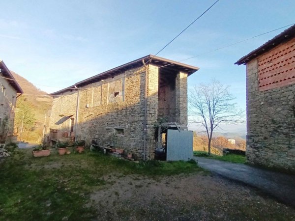 pentavano in vendita a Carpineti in zona Spignana