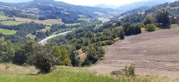 terreno agricolo in vendita a Carpineti