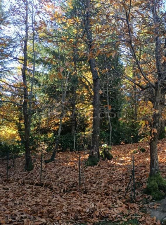 casa indipendente in vendita a Carpineti in zona Marola