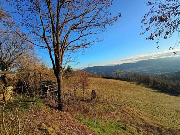terreno agricolo in vendita a Carpineti in zona Pantano