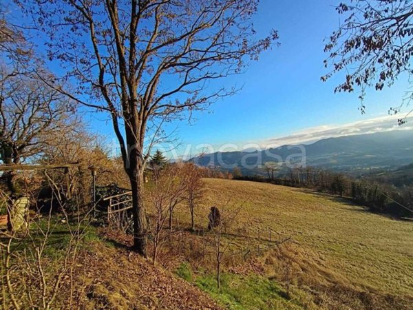 terreno agricolo in vendita a Carpineti in zona Pantano