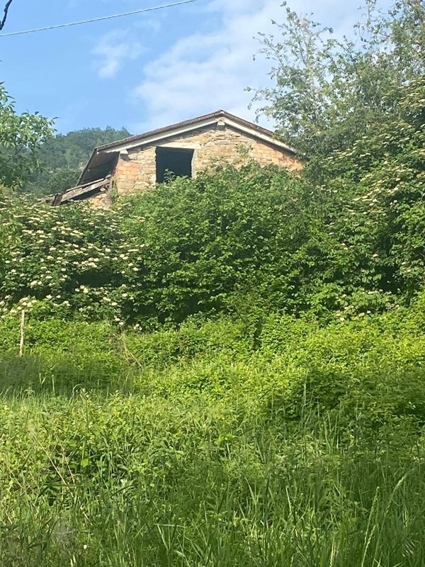 casale in vendita a Carpineti in zona Ca' Dorsini