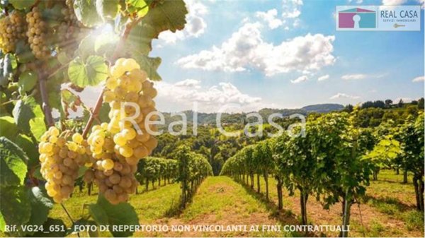 casa indipendente in vendita a Casalgrande