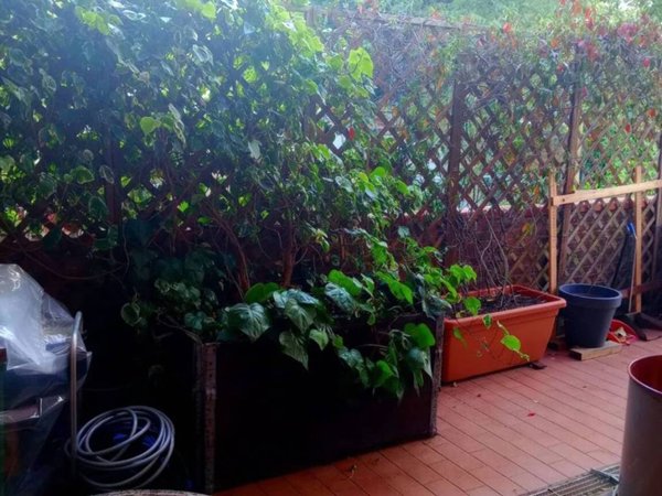 appartamento in vendita a Casalgrande in zona Veggia
