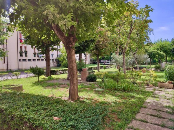 appartamento in vendita a Casalgrande