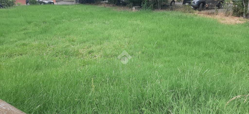 bifamiliare in vendita a Casalgrande in zona Salvaterra