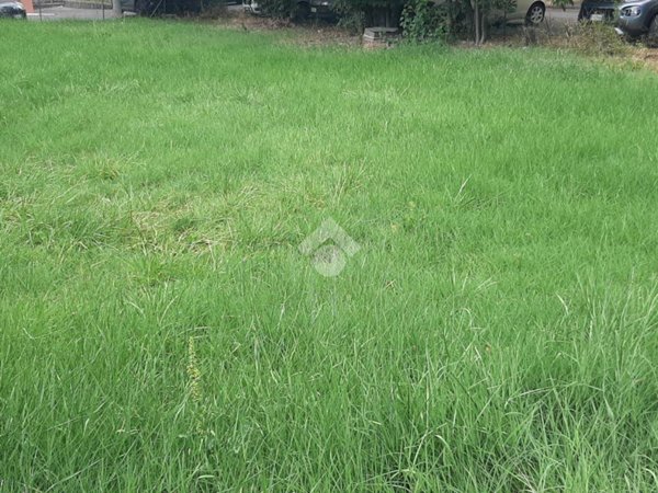 bifamiliare in vendita a Casalgrande in zona Salvaterra