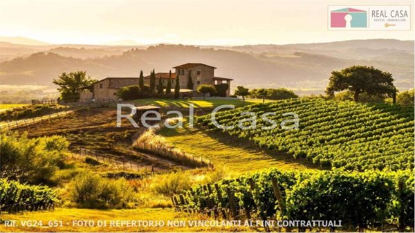 terreno agricolo in vendita a Casalgrande