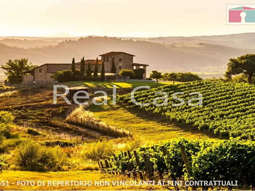 casa indipendente in vendita a Casalgrande