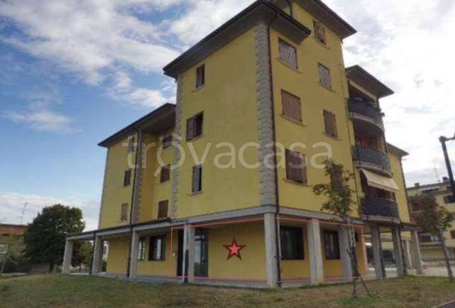 immagine annuncio 0 di 15