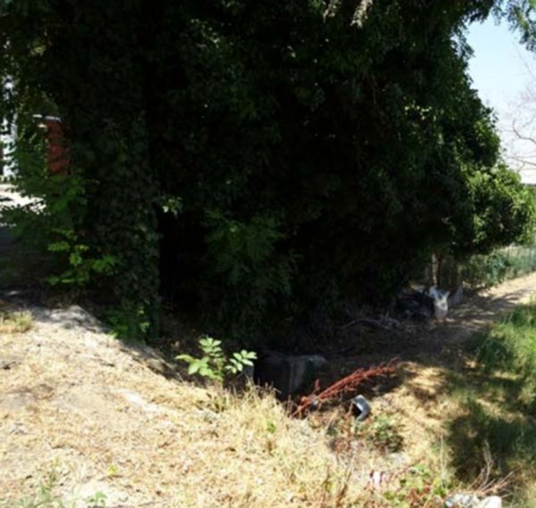 terreno agricolo in vendita a Casalgrande