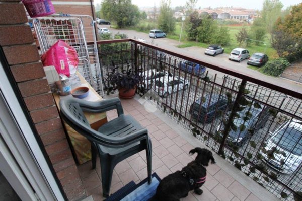 appartamento in vendita a Casalgrande