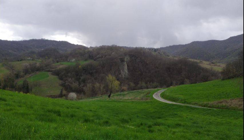 terreno agricolo in vendita a Casina in zona Bergogno