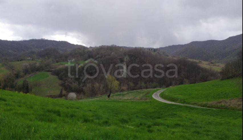 terreno agricolo in vendita a Casina in zona Bergogno