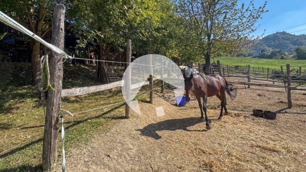 casa indipendente in vendita a Casina in zona Bocco