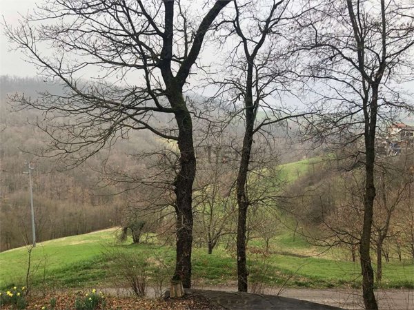 appartamento in vendita a Casina