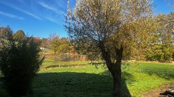 terreno edificabile in vendita a Castellarano in zona Tressano