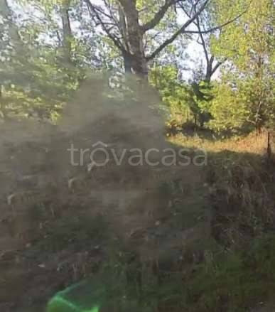 appartamento in vendita a Castellarano in zona Roteglia