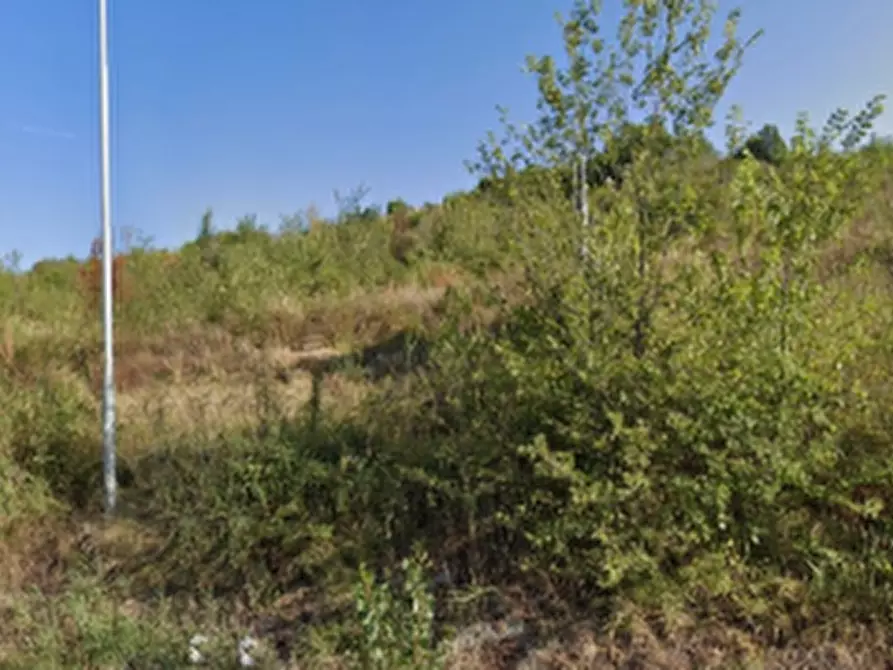 terreno agricolo in vendita a Castellarano