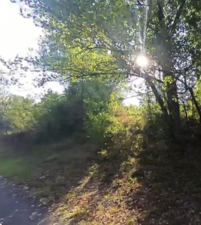terreno agricolo in vendita a Castellarano