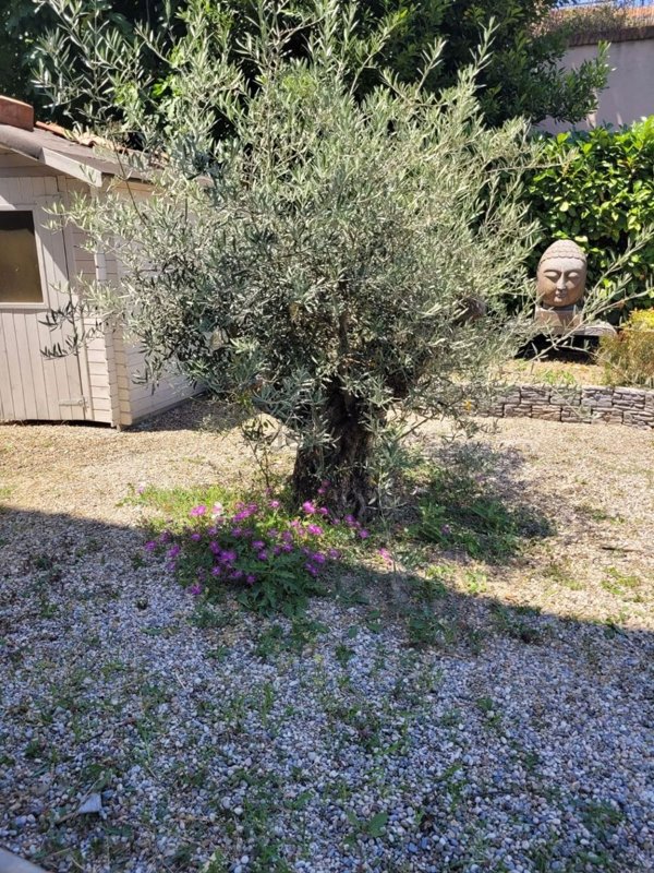 casa indipendente in vendita a Castellarano in zona Farneto di Sotto