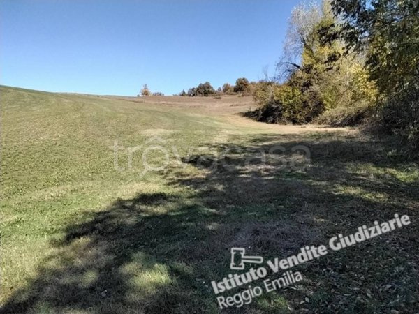 terreno agricolo in vendita a Castellarano in zona Telarolo