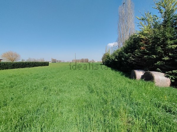 terreno agricolo in vendita a Castelnovo di Sotto