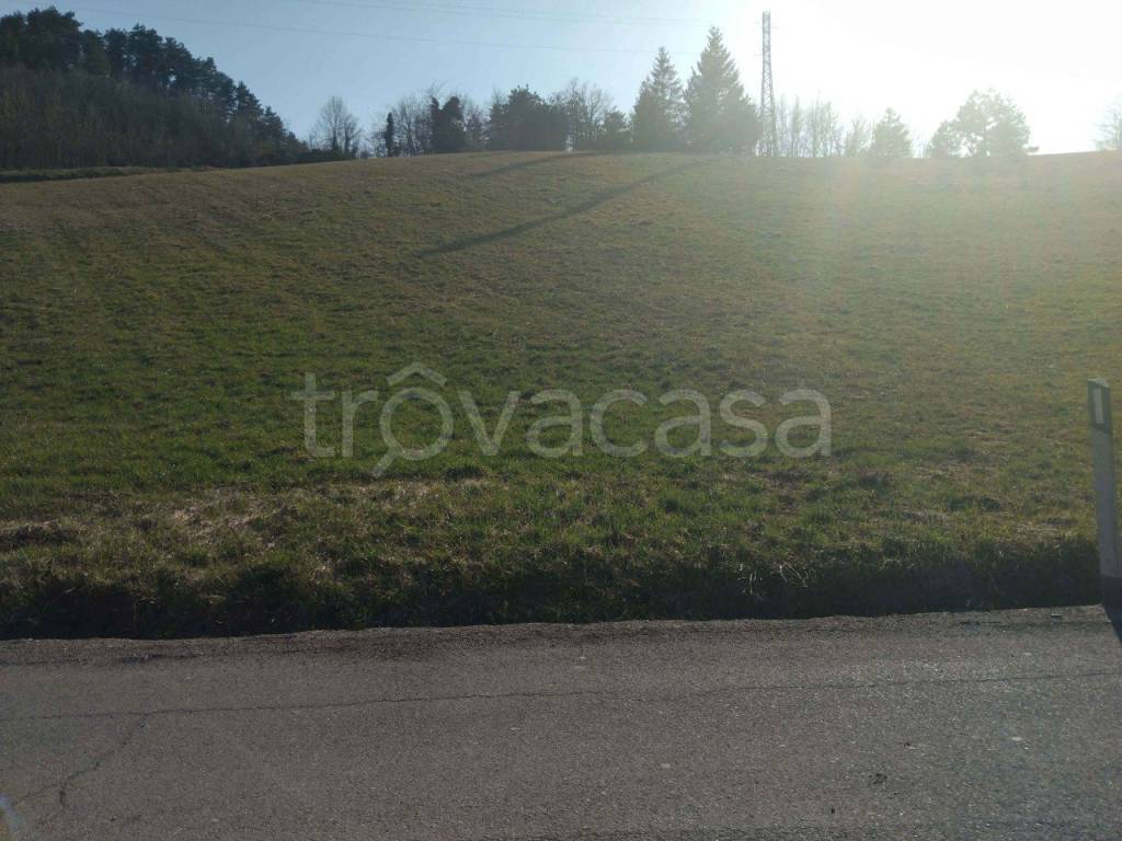 terreno agricolo in vendita a Castelnovo ne' Monti in zona Mozzola