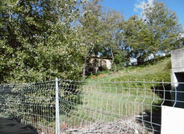 terreno agricolo in vendita a Castelnovo ne' Monti