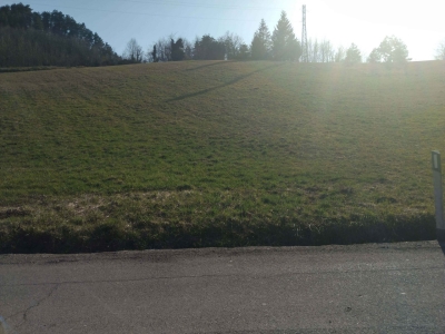 casa indipendente in vendita a Castelnovo ne' Monti in zona Mozzola