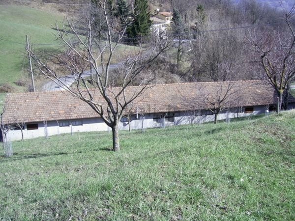 appartamento in vendita a Castelnovo ne' Monti in zona Castagnedolo