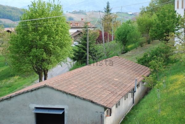 esavano in vendita a Castelnovo ne' Monti in zona Castagnedolo