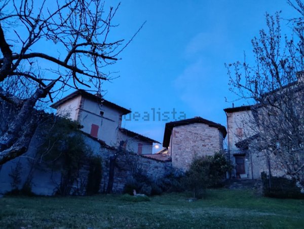 quadrivano in vendita a Canossa