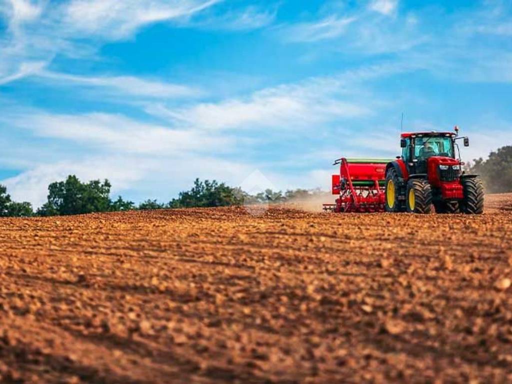 terreno agricolo in vendita a Canossa