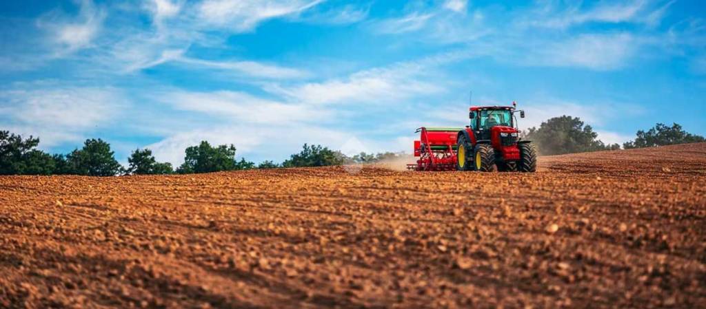 terreno agricolo in vendita a Canossa
