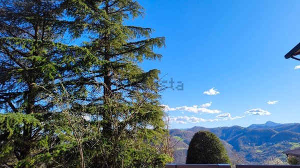 casa indipendente in vendita a Canossa in zona Vedriano