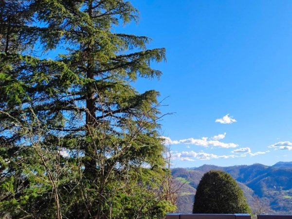 casa indipendente in vendita a Canossa in zona Vedriano