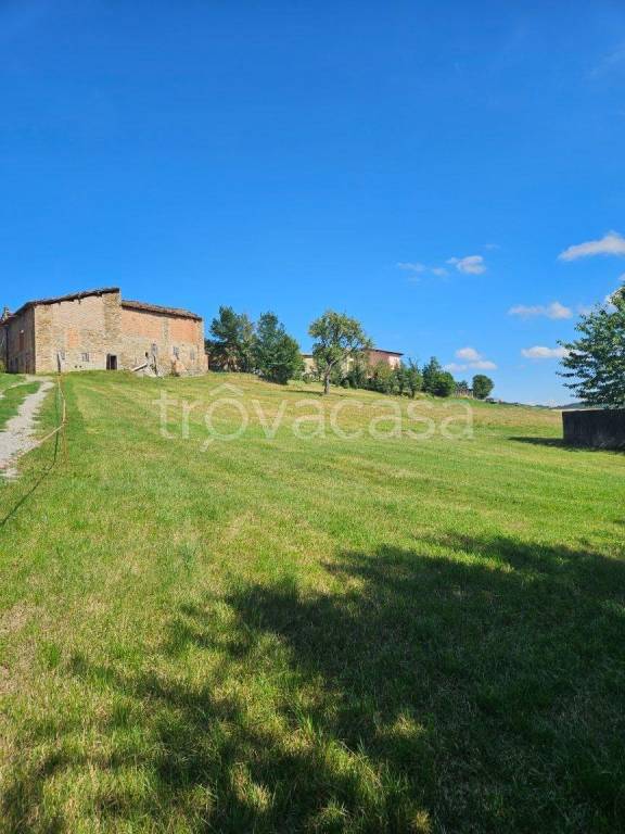 terreno agricolo in vendita a Canossa in zona Selvapiana