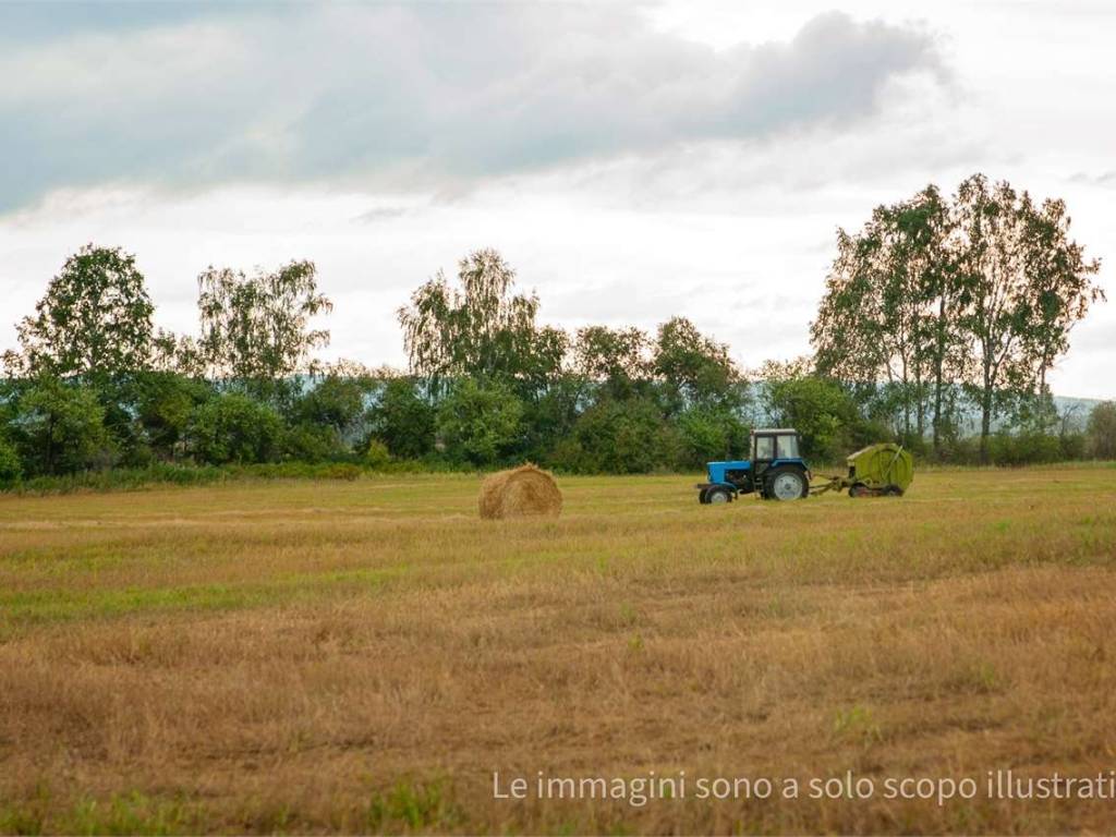 terreno agricolo in vendita a Canossa