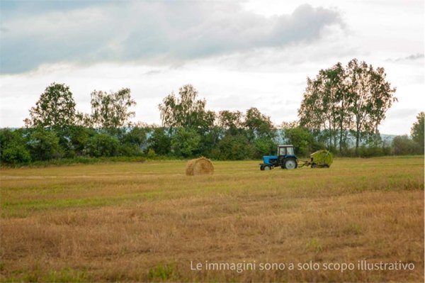terreno agricolo in vendita a Canossa