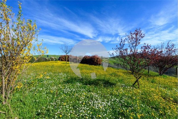 casa indipendente in vendita a Canossa