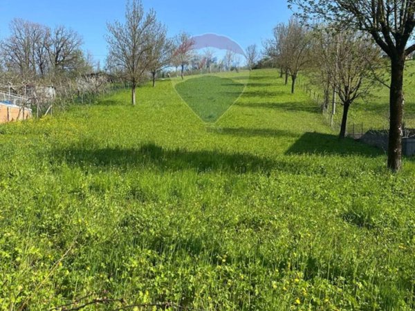 terreno agricolo in vendita a Canossa in zona Ciano d'Enza