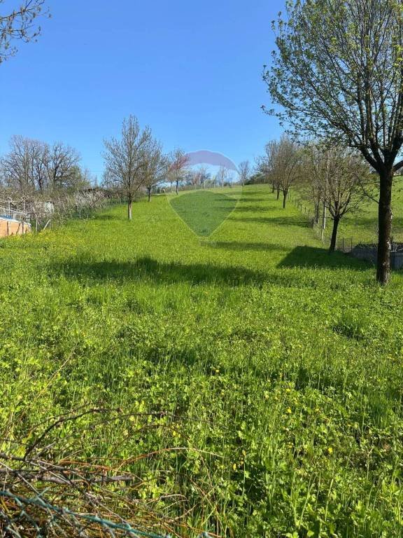 terreno agricolo in vendita a Canossa